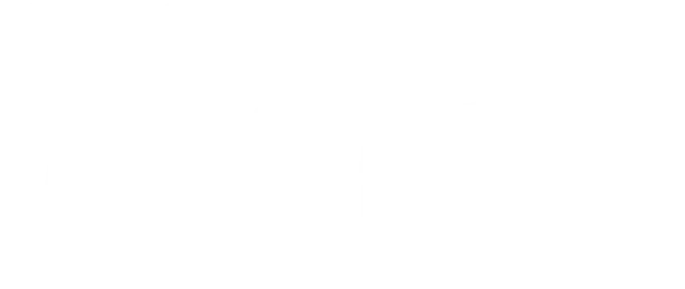 Turi Logo